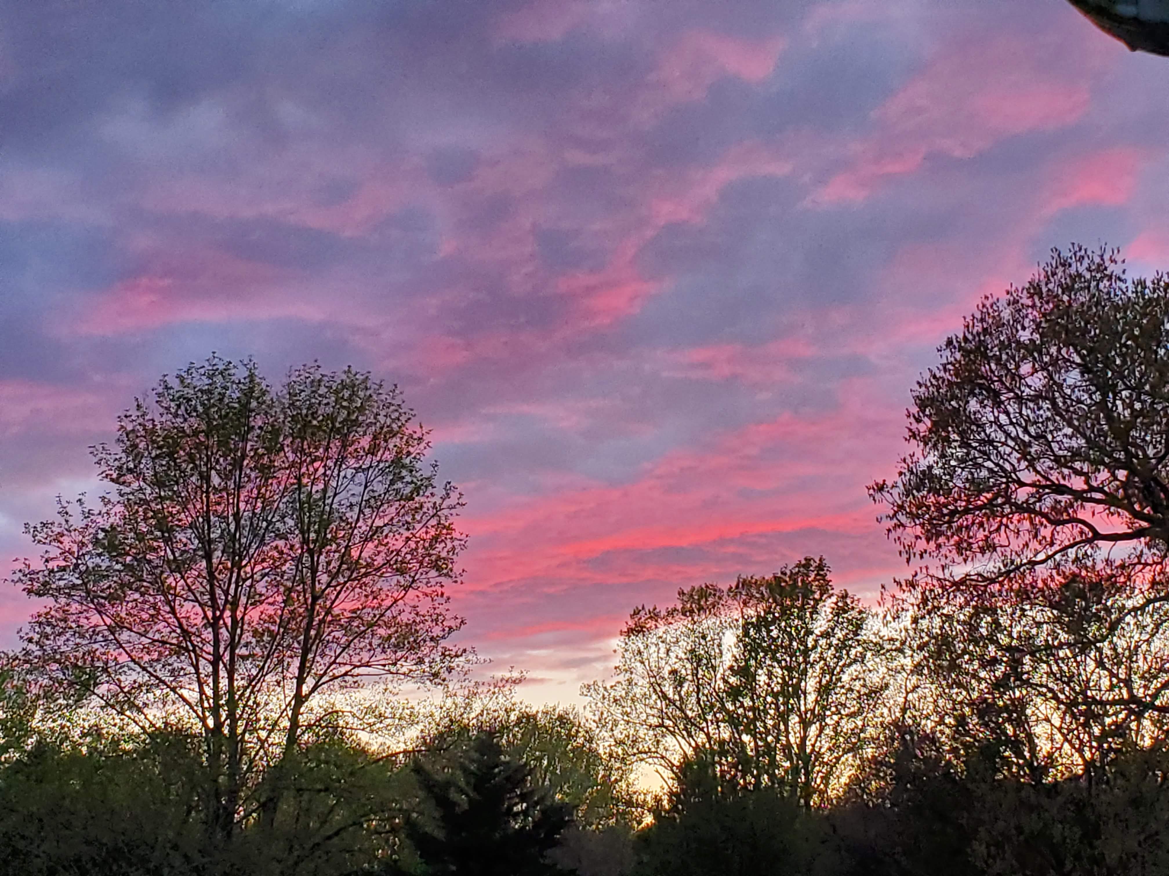 Sunset over the trees